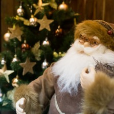 Новогодняя фотосессия!