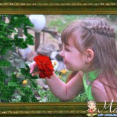 ФотоГарант