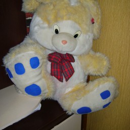 большие звери