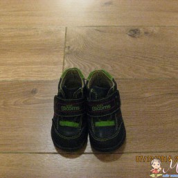 Демисезонные ботинки Blooms