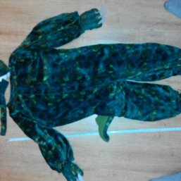 Прокат. Костюм дракона