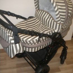 Коляска универсальная