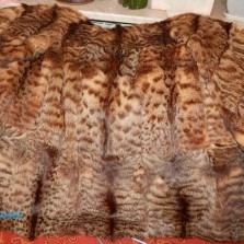  шуба из НАТУРАЛЬНОГО МЕХА ЛИППИ КАМЫШОВЫЙ КОТ