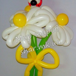 Букет из 3х ромашек с божьей коровкой