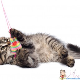 Прошу для девочки 5,5/ 6 л.