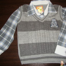 Жилет+рубашка (2 в 1)