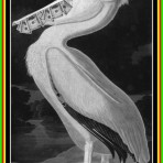 Наташаманюня