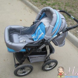 коляска  adamex neon