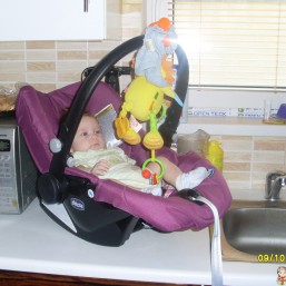 автокресло переноска chicco