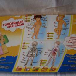 Интерактивный плакат 