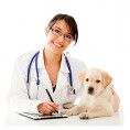 Уход и лечение домашних животных