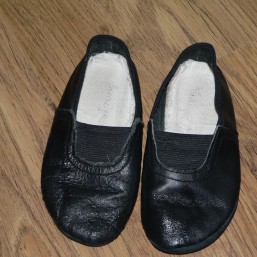 Чешки, кожа, стелька 17 см