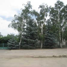 Продаю или меняю дом в селе на квартиру в Николаеве, рассмотрю все варианты