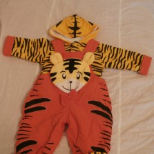 комбинезон весна -осень