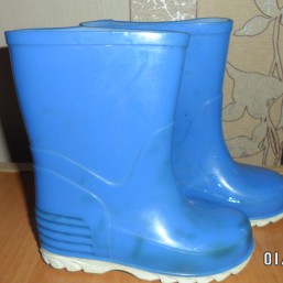 Английские резиновые сапоги  на мальчика