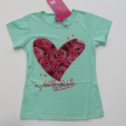 4915  Футболка для девочек 4- 12 лет /польша/