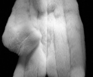 Шубы высокого качества непосредственно с фабрики