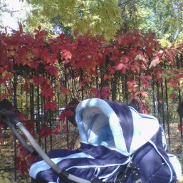 коляска для двойни