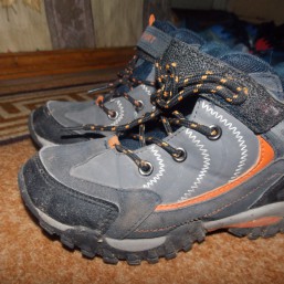 деми ботинки том.м