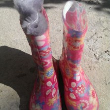 резиновые сапоги с валенком