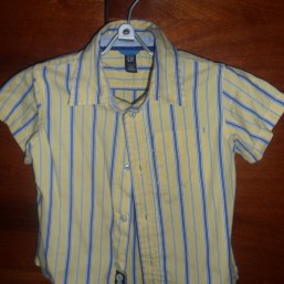 2 Рубашечки GAP 