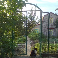 Продаю любимую дачу