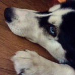 RU_SLA_NA1987@mail.ru