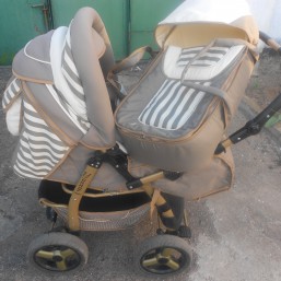 Каляска Adamex Young