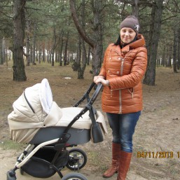 Коляска 2 в 1  Aneco Elmo