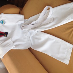 продам добок, для занятий тхэквондо