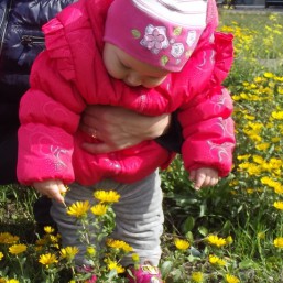 Курточка демисезонная