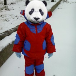 Срочно!Зимний комбинезон(тройка)