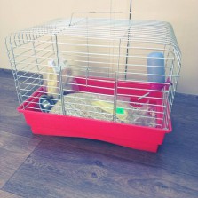 клетка для хомячка/морской свинки