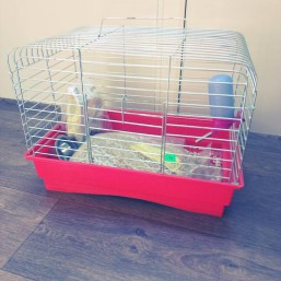 клетка для хомячка/морской свинки