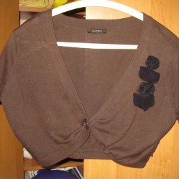 Ніжне жіноче болеро