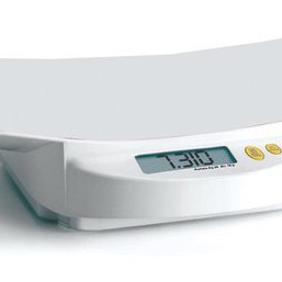 Прокат весов