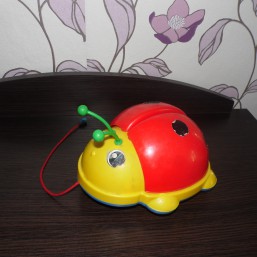 Большой жук солнышко-небушко