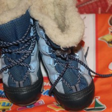 сапожки demar