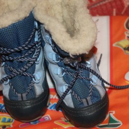 сапожки demar