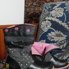 Сапоги демисезонные