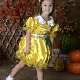 Прокат костюма ДЫНЯ, ДЫНЬКА