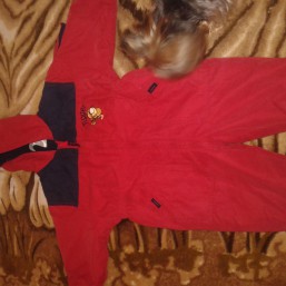 комбез демисизонный