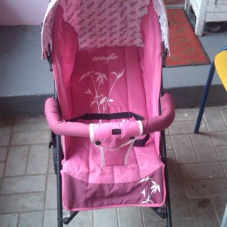 коляска трость Everflo