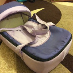 Прокат сумок-переносок