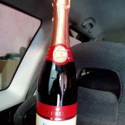 Продам вино Fragolino Fiorelli Rosso