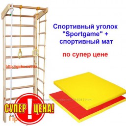 Шведская стенка, 225 см и мат спортивный.