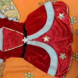 Прокат на девочку 2 - 3г.