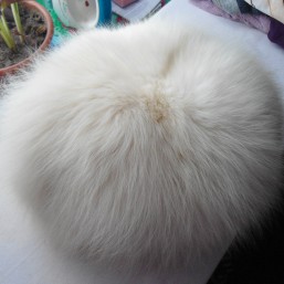 Продам шапку из песца