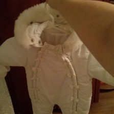 Зимний комбинезон с бантиками для девочки