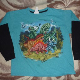 Регланы мальчик 5-6 лет